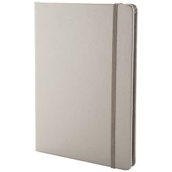 Notebook Bodley, srebro
