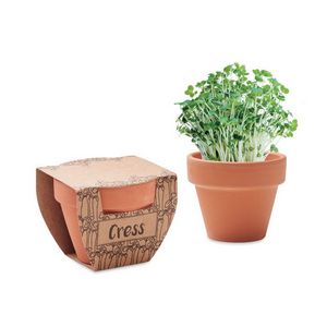 Sjemenke potočarke u terakotnoj posudi - cress pot