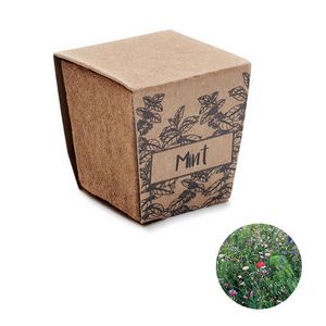 Komplet za uzgoj sjemenki mente - mint kit