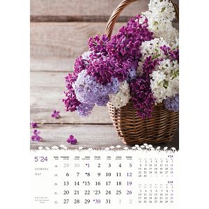 kalendar-color-cvijece-32795-ja2092_256801.jpg