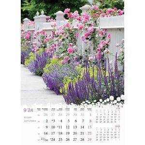 kalendar-color-cvijece-32795-ja2092_256805.jpg