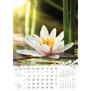 kalendar-color-cvijece-32795-ja2092_256807.jpg