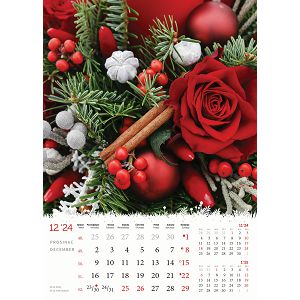 kalendar-color-cvijece-32795-ja2092_256808.jpg