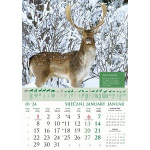 kalendar-color-kalendar-lova-70123-ja000191_256560.jpg