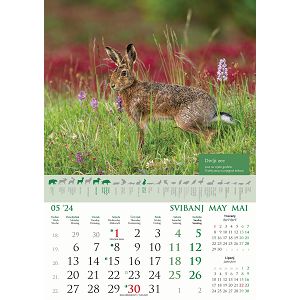 kalendar-color-kalendar-lova-70123-ja000191_256564.jpg