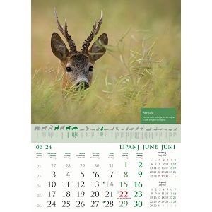 kalendar-color-kalendar-lova-70123-ja000191_256565.jpg