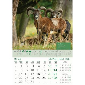 kalendar-color-kalendar-lova-70123-ja000191_256566.jpg