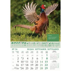 kalendar-color-kalendar-lova-70123-ja000191_256568.jpg