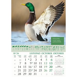 kalendar-color-kalendar-lova-70123-ja000191_256569.jpg