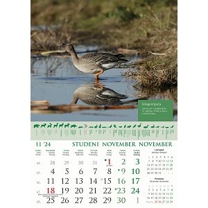 kalendar-color-kalendar-lova-70123-ja000191_256570.jpg