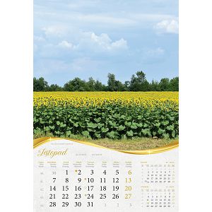 kalendar-color-moja-zlatna-slavonija-84272-ja2097_256625.jpg