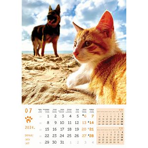 kalendar-color-psi-i-macke--8054-ja000220_256831.jpg