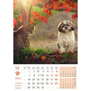 kalendar-color-psi-i-macke--8054-ja000220_256834.jpg