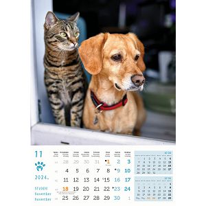 kalendar-color-psi-i-macke--8054-ja000220_256835.jpg