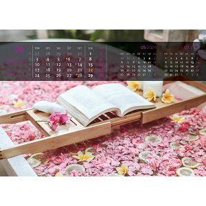 kalendar-color-relax-39947-ja000224_256844.jpg