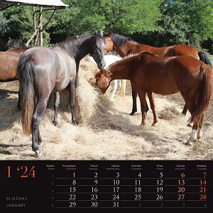 kalendar-color-seoska-idila--95923-ja000221_256755.jpg