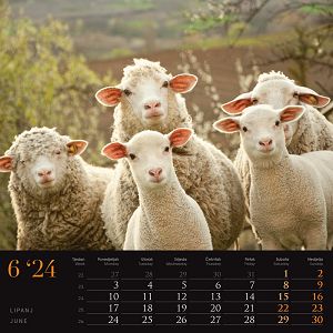 kalendar-color-seoska-idila--95923-ja000221_256760.jpg