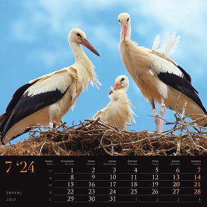 kalendar-color-seoska-idila--95923-ja000221_256761.jpg
