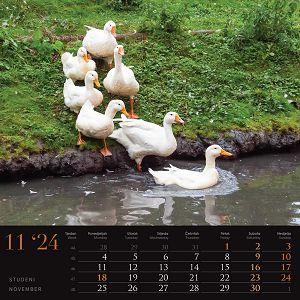 kalendar-color-seoska-idila--95923-ja000221_256765.jpg