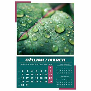 kalendar-igre-prirode-2024-13-listova-spirala-17352-a125-01_265443.jpg
