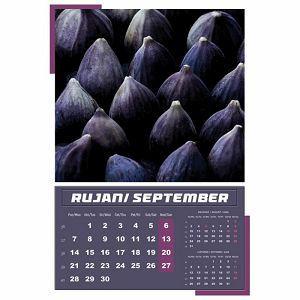 kalendar-igre-prirode-2024-13-listova-spirala-17352-a125-01_265449.jpg