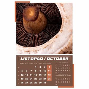 kalendar-igre-prirode-2024-13-listova-spirala-17352-a125-01_265450.jpg