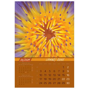 kalendar-igre-prirode-2024-13-listova-spirala-97294-a125-01_256327.jpg