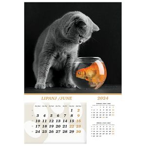 kalendar-kucni-ljubimci-2024-13-listova-spirala-85562-a118-01_256379.jpg