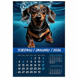 kalendar-kucni-ljubimci-2026-13-listova-spirala-37009-a118-01_265506.jpg