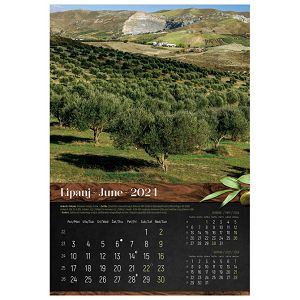 kalendar-masline-2024-13-listova-spirala-42864-a107-01_256418.jpg