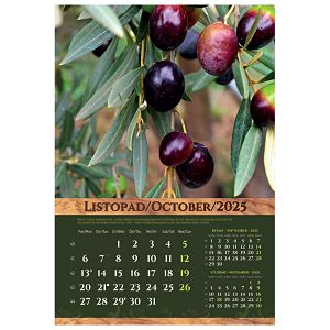 kalendar-masline-2025-13-listova-spirala-96724-a107-01_258008.jpg