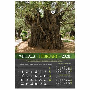 kalendar-masline-2026-13-listova-spirala-3009-a107-01_265546.jpg