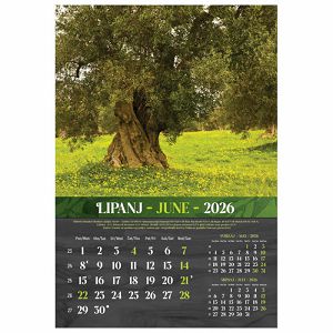kalendar-masline-2026-13-listova-spirala-3009-a107-01_265550.jpg