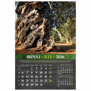 kalendar-masline-2026-13-listova-spirala-3009-a107-01_265551.jpg