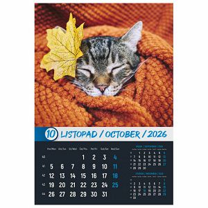 kalendar-okom-sanjara-2026-13-listova-spirala-84745-a105-01_265541.jpg