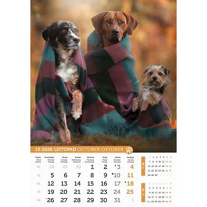 kalendar-psi-i-macke-za-2025-13-lis-53100-ja000220_263639.jpg