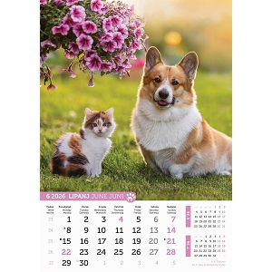 kalendar-psi-i-macke-za-2025-13-lis-53100-ja000220_263643.jpg