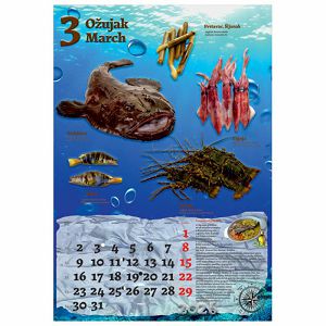 kalendar-ribarnica-2026-13-listova-spirala-63202-a000000573_265665.jpg