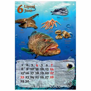 kalendar-ribarnica-2026-13-listova-spirala-63202-a000000573_265668.jpg