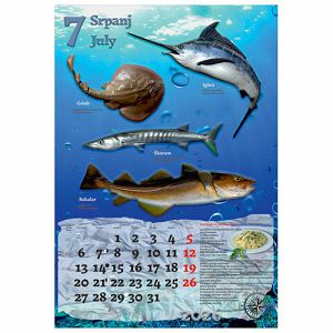 kalendar-ribarnica-2026-13-listova-spirala-63202-a000000573_265669.jpg