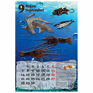 kalendar-ribarnica-2026-13-listova-spirala-63202-a000000573_265671.jpg