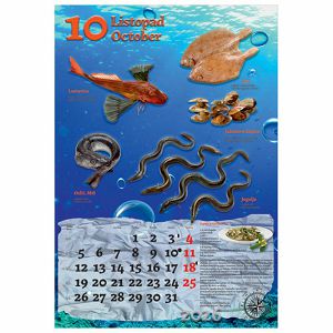 kalendar-ribarnica-2026-13-listova-spirala-63202-a000000573_265672.jpg