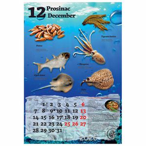 kalendar-ribarnica-2026-13-listova-spirala-63202-a000000573_265674.jpg