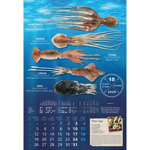 kalendar-s-ribrarnice-za-2025-13-lis-52726-ja000178_263597.jpg