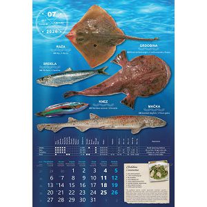 kalendar-s-ribrarnice-za-2025-13-lis-52726-ja000178_263599.jpg