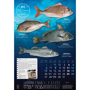 kalendar-s-ribrarnice-za-2025-13-list-72885-ja000178_257299.jpg