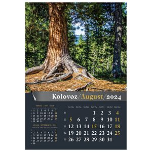 kalendar-sumska-prica-2024-13l-spirala-21945-a123-01_256342.jpg