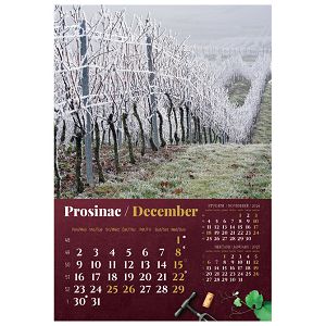 kalendar-vino-2024-13-listova-spirala-21340-a119-01_256398.jpg