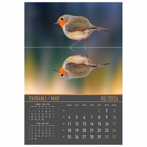 kalendar-zrcala-u-prirodi-2026-13-listova-spirala-64566-a121-01_265458.jpg