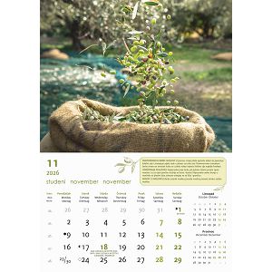 zidni-kalendar-automobili-13-listova-335x31-cm-57396-ja000234_263713.jpg